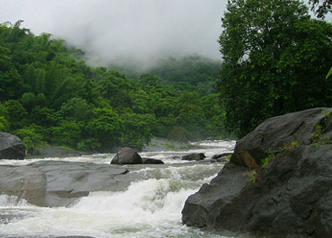 Nilambur-images