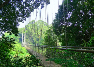 Nilambur